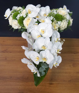 1.02 Afhangend orchidee wit