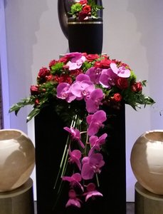 1.07 Afhangend orchidee magenta