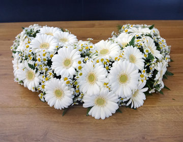 2.03 Halve cirkel  gerbera