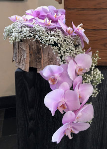 8.01 Speciale creatie,  Bloemstuk schors  phalaenopsis (ochidee)