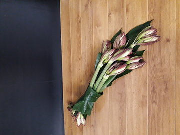 8.02 Speciale creatie, Langwerpig ingebonden  Amarylis