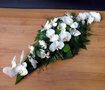 3.08 Langwerpig,  phalaenopsis (orchidee)