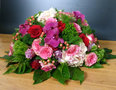 4.12 Rond roze/groen