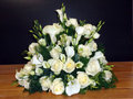 4.18 Opstaand calla rozen